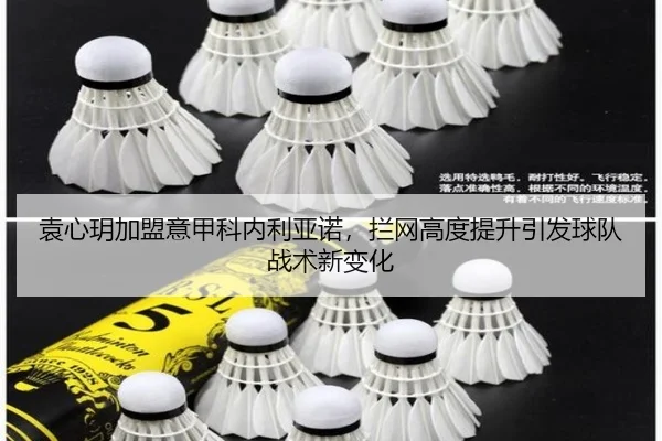 袁心玥加盟意甲科内利亚诺，拦网高度提升引发球队战术新变化