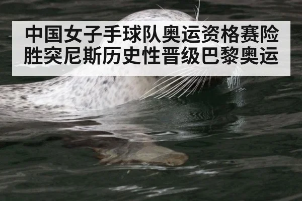中国女子手球队奥运资格赛险胜突尼斯历史性晋级巴黎奥运
