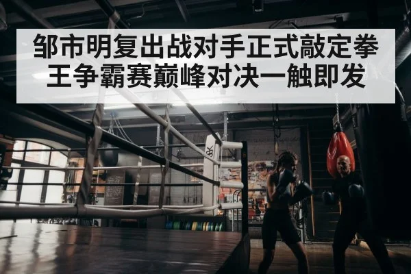 boxer training