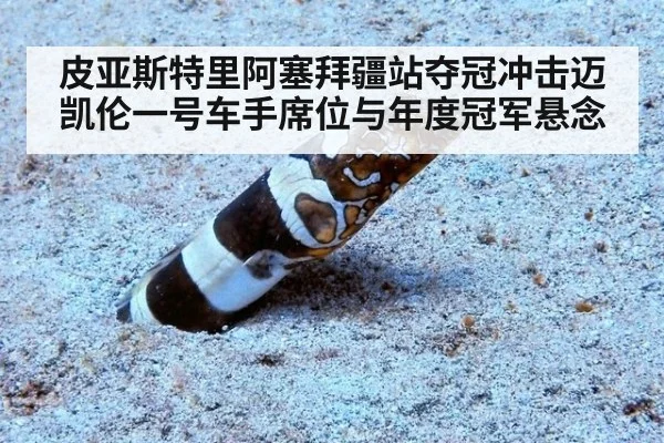 皮亚斯特里阿塞拜疆站夺冠冲击迈凯伦一号车手席位与年度冠军悬念